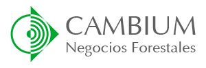 Cambium