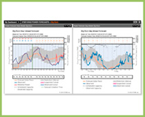 Servicio de Forecast Geotek Vaisala